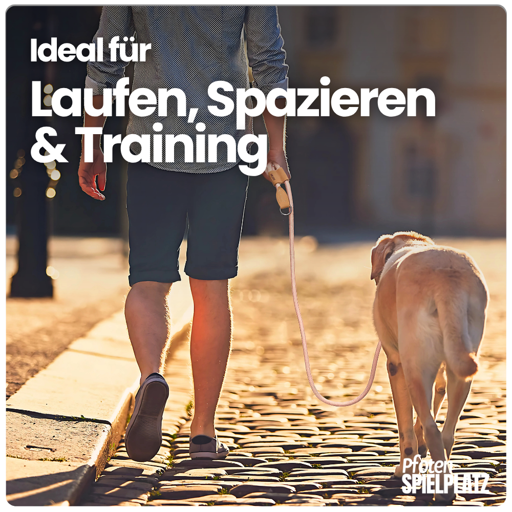Freihändige Hüftleine – Sicher, bequem & ideal für unterwegs