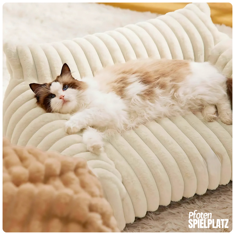 Weiches Sofa aus Plüsch – Kuscheliger Lieblingsplatz mit Stil