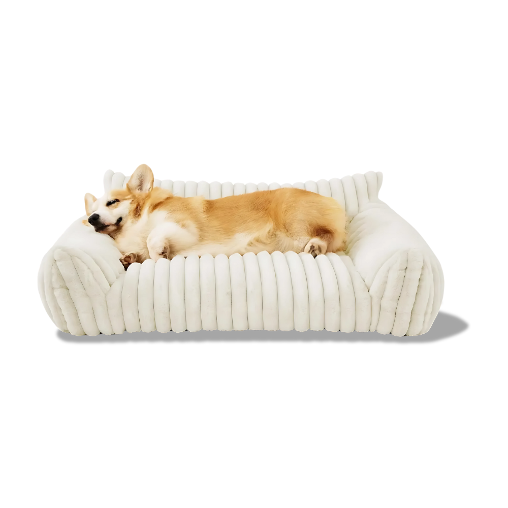 Weiches Sofa aus Plüsch – Kuscheliger Lieblingsplatz mit Stil