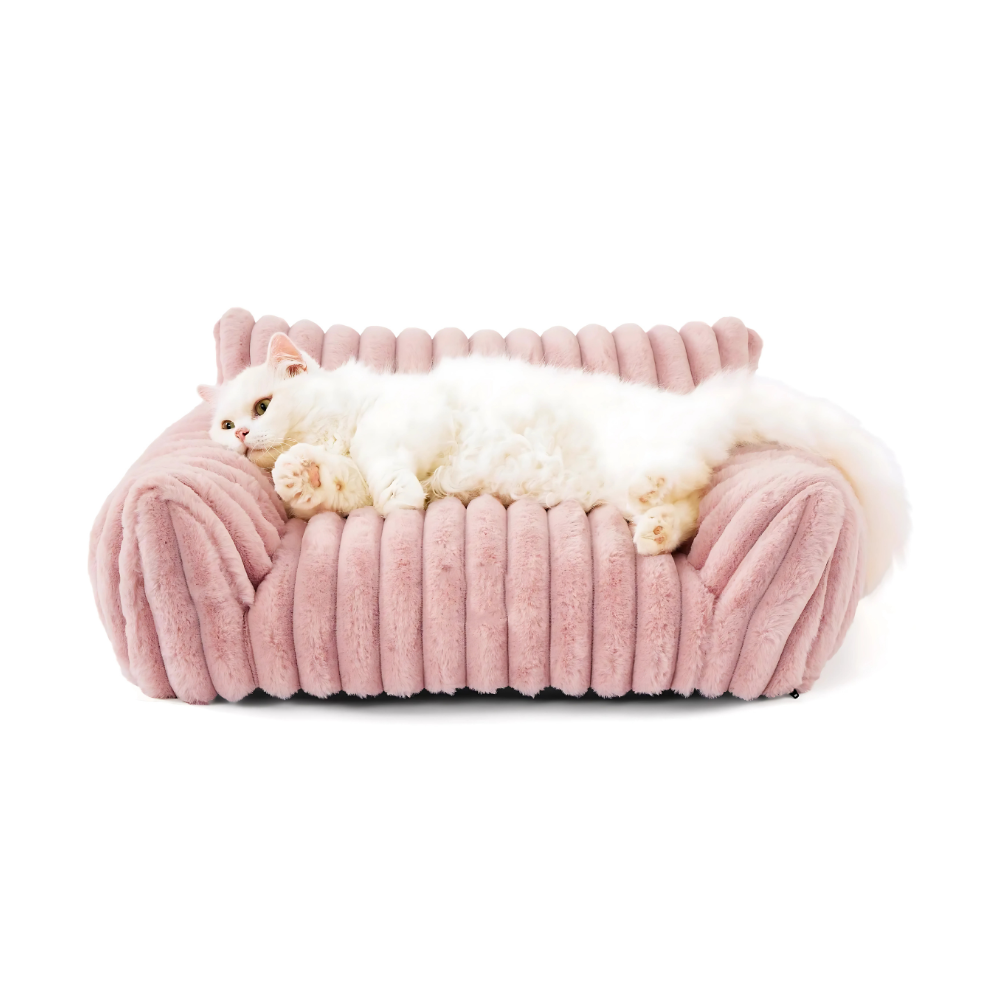 Weiches Sofa aus Plüsch – Kuscheliger Lieblingsplatz mit Stil