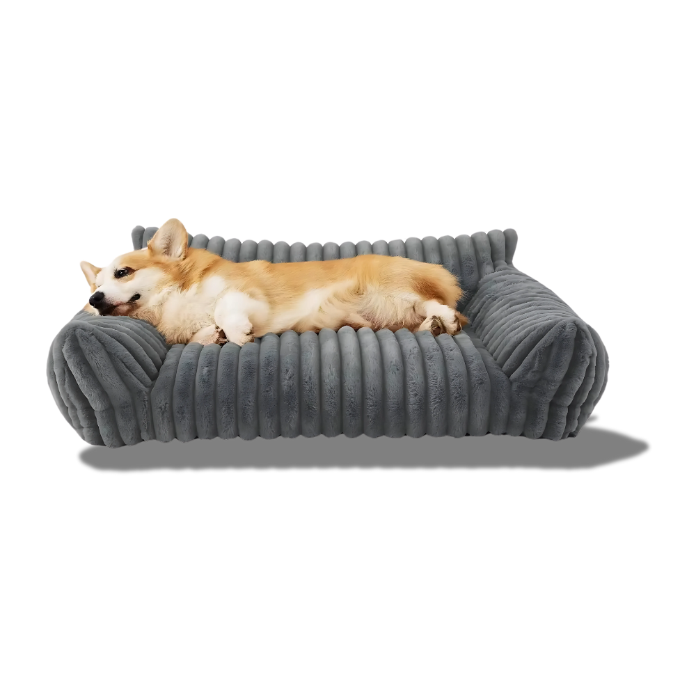 Weiches Sofa aus Plüsch – Kuscheliger Lieblingsplatz mit Stil