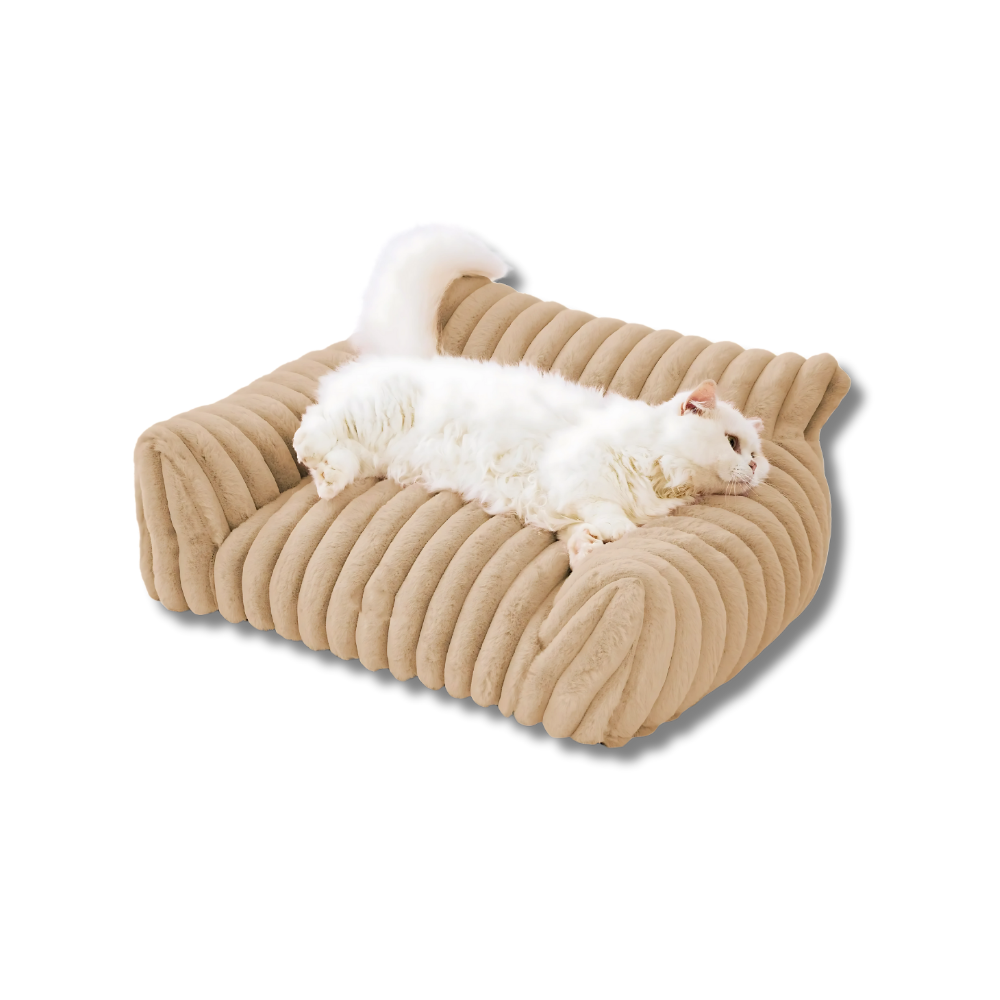 Weiches Sofa aus Plüsch – Kuscheliger Lieblingsplatz mit Stil