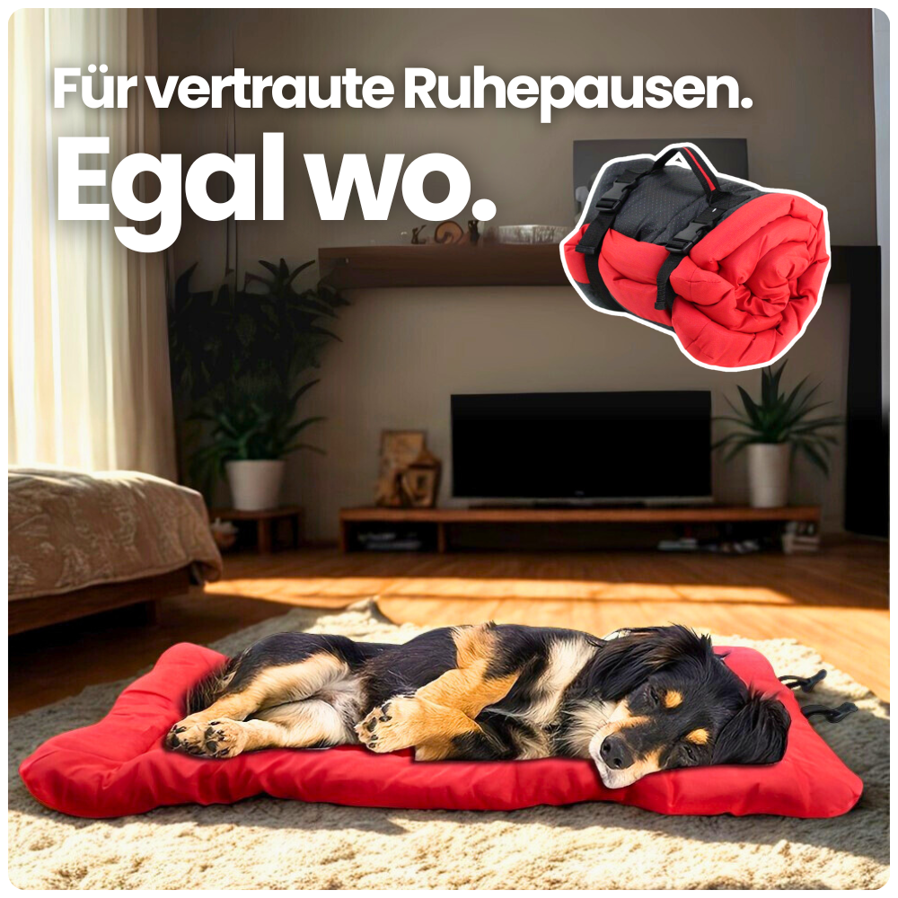 Rollbare Hundematte – Gemütlicher Ruheplatz für unterwegs