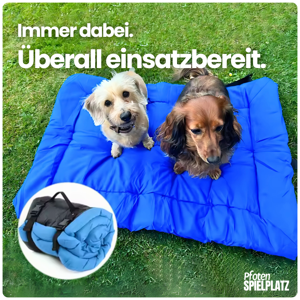 Rollbare Hundematte – Gemütlicher Ruheplatz für unterwegs