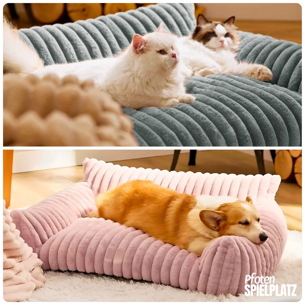 Weiches Sofa aus Plüsch – Kuscheliger Lieblingsplatz mit Stil