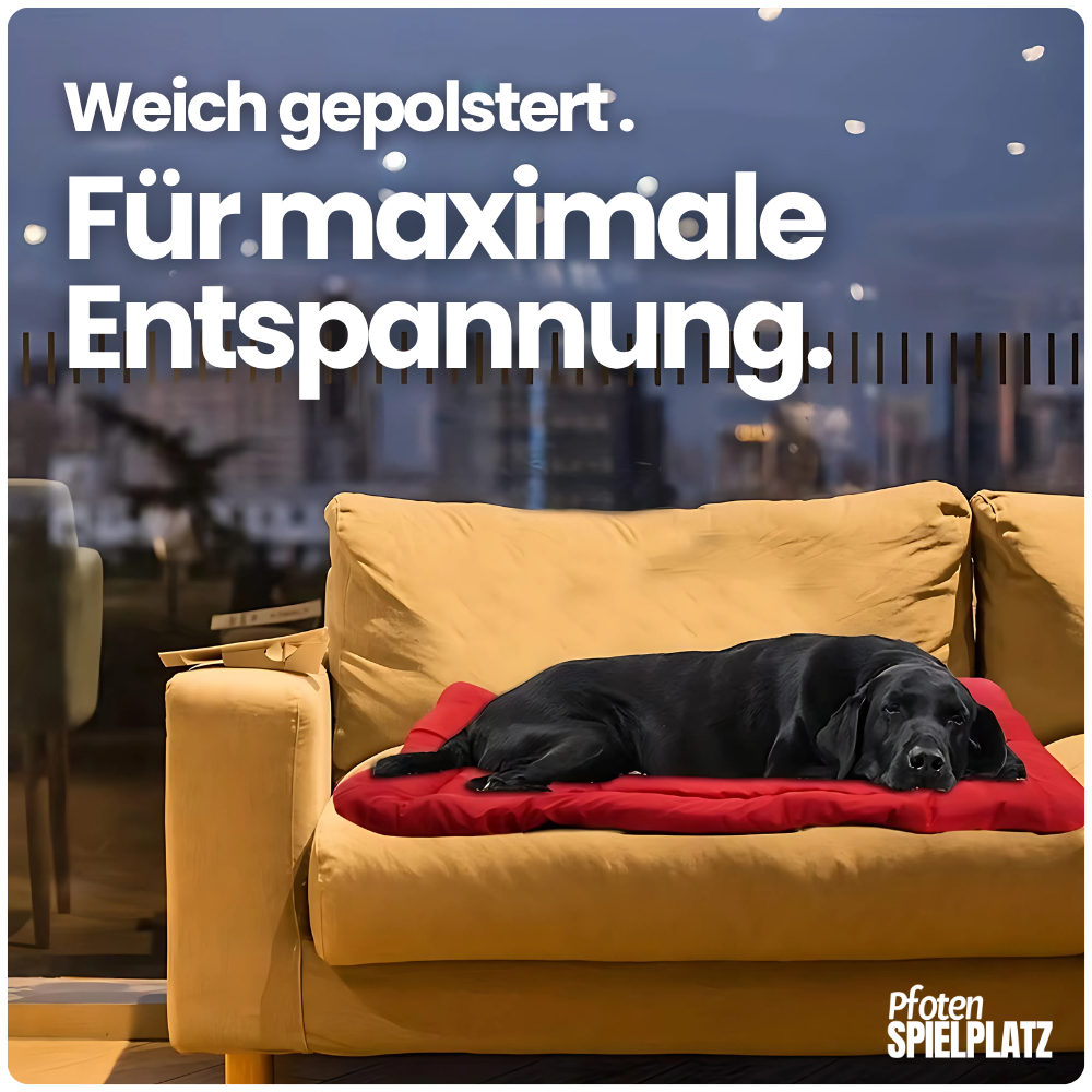 Rollbare Hundematte – Gemütlicher Ruheplatz für unterwegs